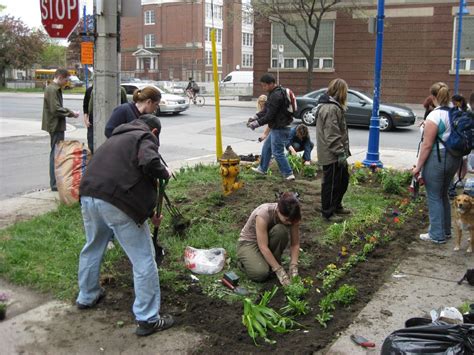 Guerilla Gardening | Guerrilla gardening, Guerrilla, Environmental psychology