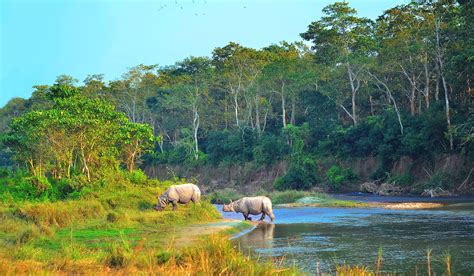 Chitwan safaris with Africa Travel Resource