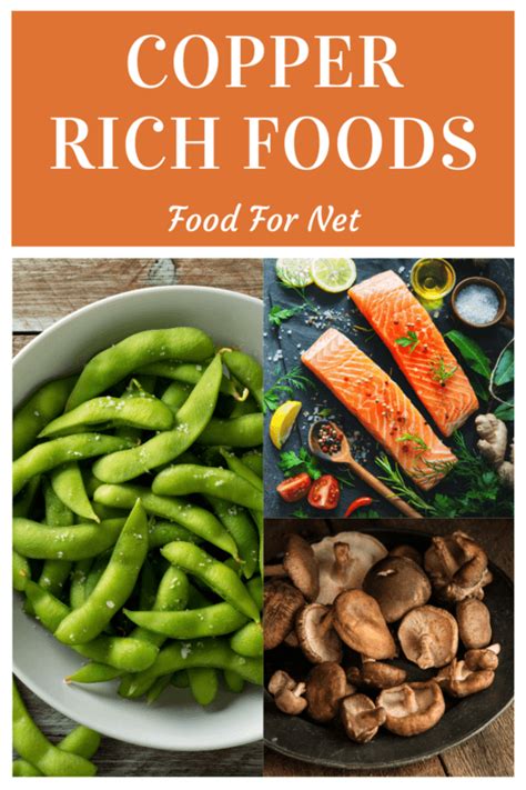 24 Copper Rich Foods So You’re Never Short Of This Trace Mineral | Food For Net