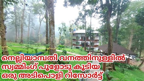 Deep Forest Stay in Nelliampathy Reserve Forest | Resorts in Nelliyampathy with Swimming Pool ...