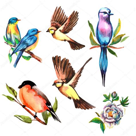 Set watercolor bird, vector illustration — Stock Vector © elenbushe.gmail.com #90478370