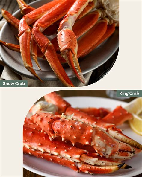 What’s the Difference Between Snow Crab and King Crab? | Flipboard