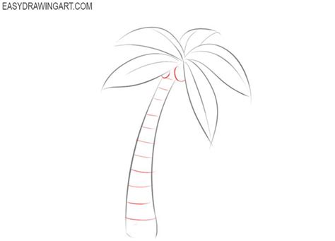 How to Draw a Palm Tree | Easy Drawing Art Tree Drawing Simple, Palm Tree Drawing, Drawing ...