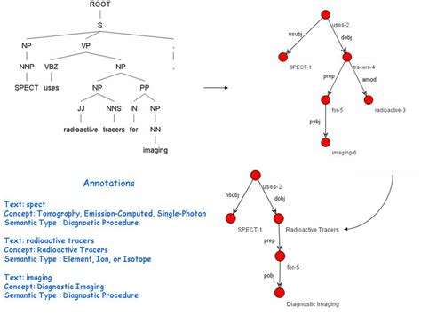 From parse tree to compressed semantic graph | Download Scientific Diagram