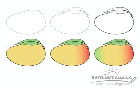 How to Draw a Mango Step by Step - EasyLineDrawing