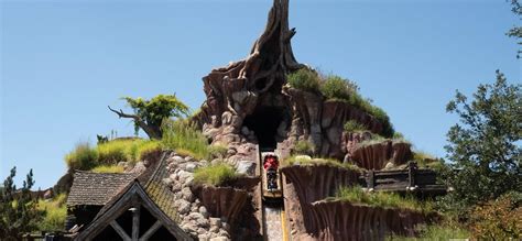 Splash Mountain Fiasco: Guest Jumps Out Of Moving Ride Vehicle