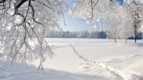 🔥 [50+] Snowy Fields Wallpapers | WallpaperSafari