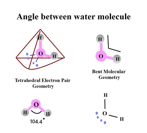 In water, the angle between the atoms of the hydrogen and one atom of oxygen is(a) ${ 180 ...