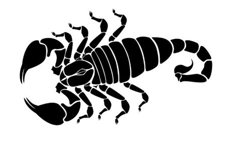 Free Vector Black Scorpion Silhouette - TitanUI