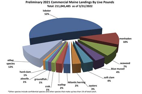 Maine’s commercially exploited marine resources reach historic value – The Fishermans Tips