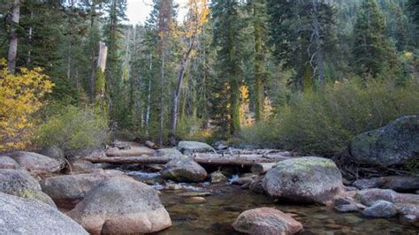 Experience Nature at Clark Fork Campground