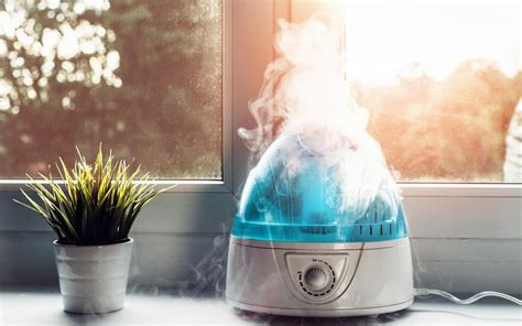 Is Humidifier Good For Pets? Enhancing Pet Health And Comfort