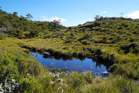 Dove Lake Circuit (Cradle Mountain-Lake St Clair National Park) ~ The Long Way's Better