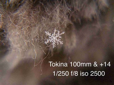 Your Step-by-Step Guide to Photographing a Perfect Snowflake | Veronicajune Photography