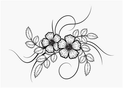 Flower Drawings | Best Flower Site