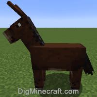 How to Feed a Mule in Minecraft