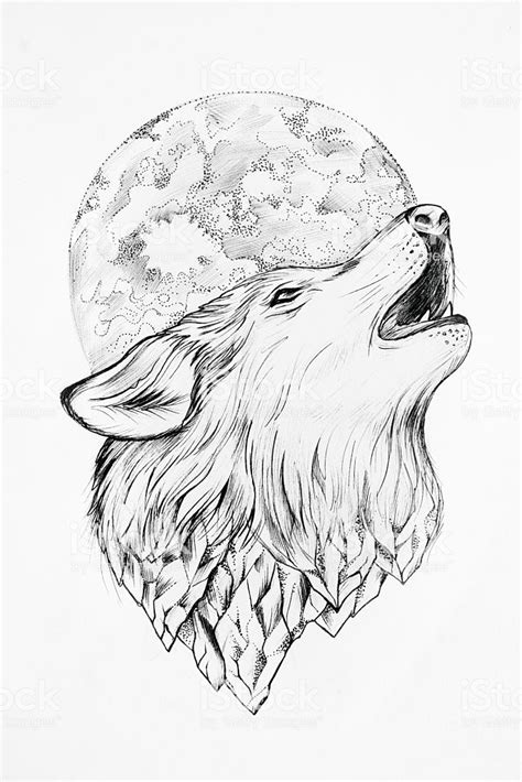 Sketch of wolf howling at the moon white background. | Wolf sketch ...