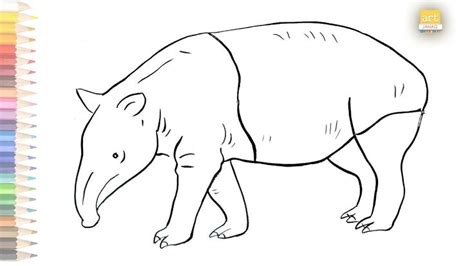 Tapir outline drawing / How to draw A Tapir drawing step by step / # ...