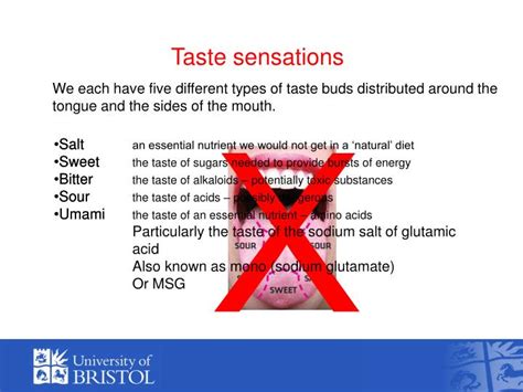 PPT - Molecular Gastronomy The Science of Taste and Flavour PowerPoint ...