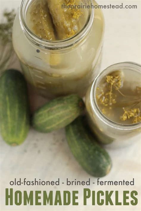 Homemade Fermented Pickle Recipe | The Prairie Homestead