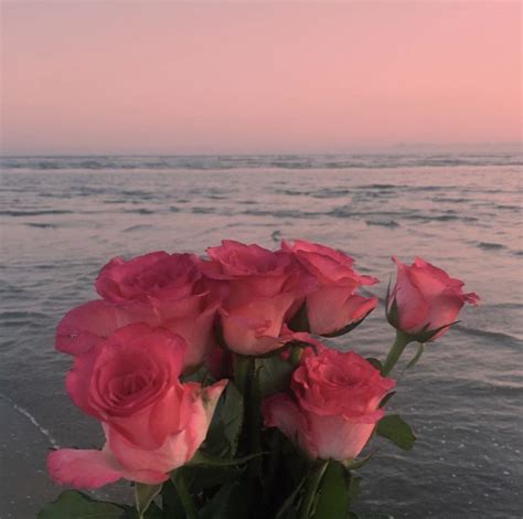 : flowerstrology | Aesthetic roses, Beautiful flowers, Flower aesthetic