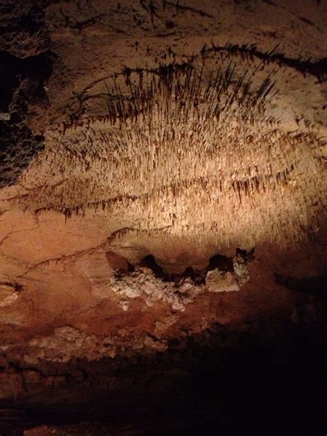 Day Trip to a Distant Past: Inner Space Caverns - The Austinot