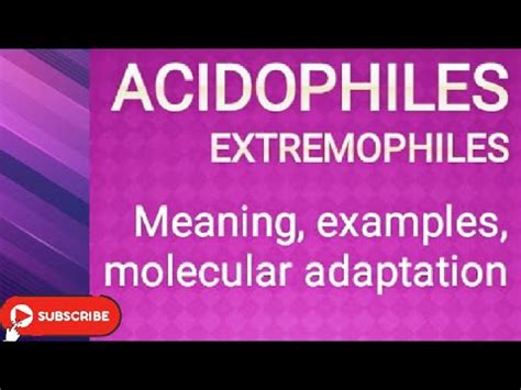 Acidophiles_ Extremophiles: Meaning, Examples, Molecular adaptation - YouTube