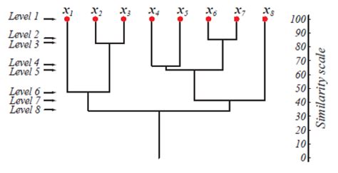 Hierarchical Clustering Algorithm | Types & Steps of Hierarchical Clustering