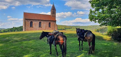 Horse Church France - Free photo on Pixabay - Pixabay