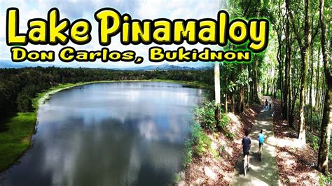 Lake Pinamaloy | Don Carlos, Bukidnon | TravelLar - YouTube