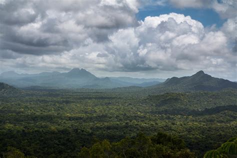 Cockscomb Basin Wildlife Sanctuary + Jaguar Preserve | Outdoor Project