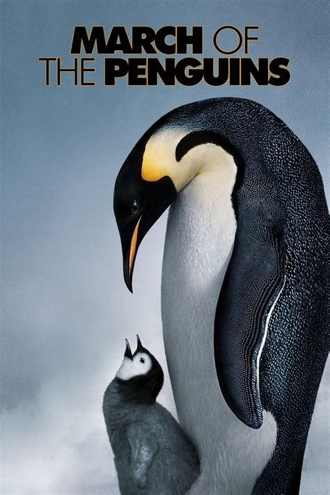 March of the Penguins Pictures - Rotten Tomatoes