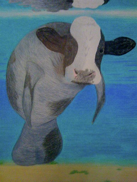 Sea Cow Drawing by Joe Richichi