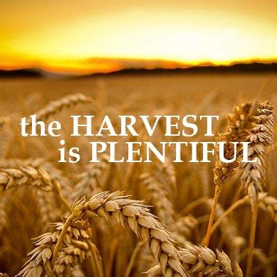 The Spiritual Harvest – A Journey with God Girls Lifting Weights, Hobbs New Mexico, Hobbies For ...