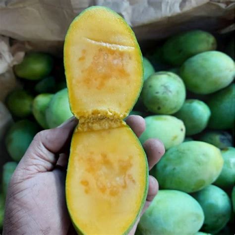 Jual Mangga Manalagi Madu Fresh / 1Kg | Shopee Indonesia