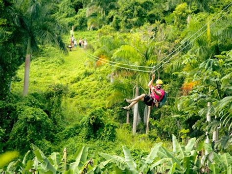 Yunque Ziplining / Home