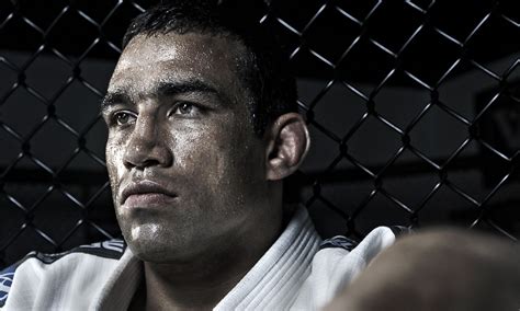 Fabricio Werdum Wallpapers Images Photos Pictures Backgrounds