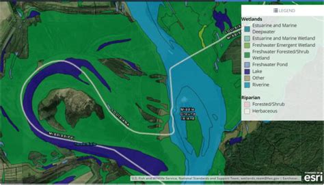 The National Wetland Inventory map of the area. | Download Scientific Diagram