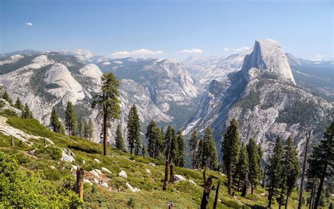 Sierra Nevada Trees Are Moving To Higher Elevations Due To Warmer Temperatures - SnowBrains