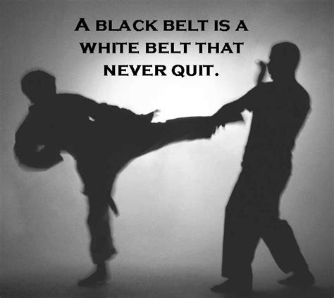 Taekwondo Inspirational Quotes. QuotesGram