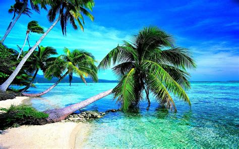 Tropical Beach HD Wallpaper (68+ images)