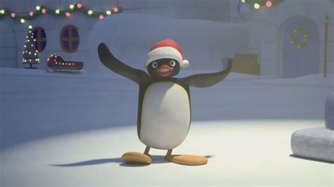 Pingu | Christmas Specials Wiki | Fandom