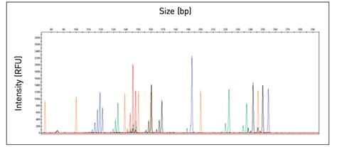 How to Conduct Fragment Analysis | Thermo Fisher Scientific - CA