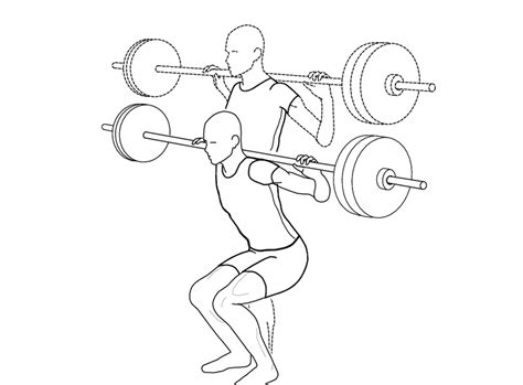 Barbell squat exercise. | Download Scientific Diagram