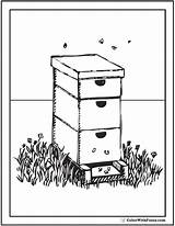 Bee Coloring Pages Hives Flowers And Honey sketch template