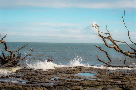 Visit Little Talbot Island State Park: Best of Little Talbot Island State Park, Jacksonville ...