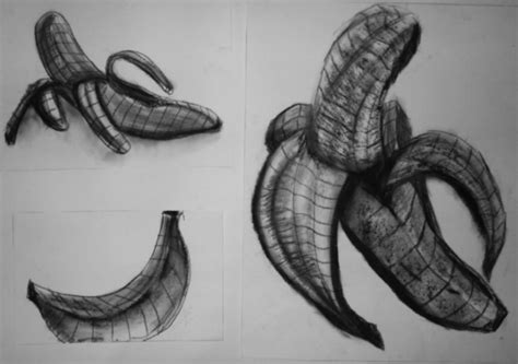 Cross Contour Drawing Fruit at PaintingValley.com | Explore collection ...