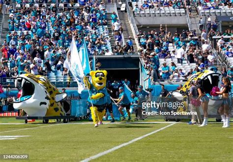 585 Jacksonville Jaguars Mascot Photos & High Res Pictures - Getty Images