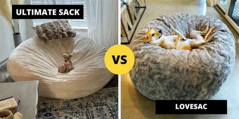 Lovesac vs Ultimate Sack: What is the Difference?