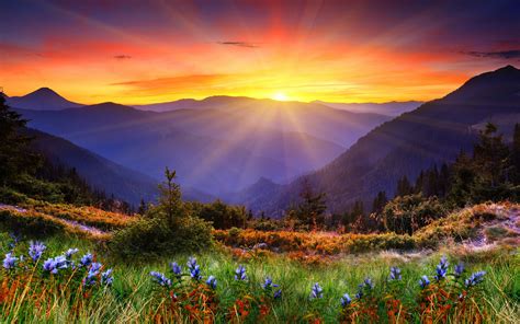 Download Sunshine Mountain Sunset Nature Scenic HD Wallpaper